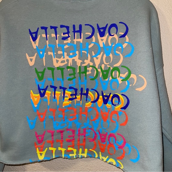Coachella Crop Sweatshirt Size L (Missing Size Tag) - Picture 4 of 8